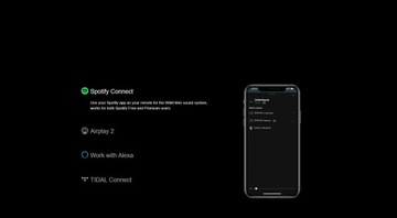 Сетевой плеер Arylic WiiM Mini черный
