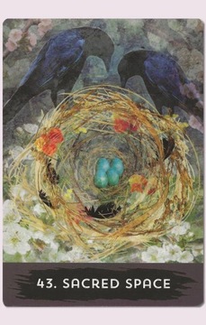 Городской ворон-оракул