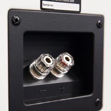 System Audio Saxo 5 (Czarny satyna) - para