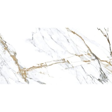 PŁYTKI GRES hiszpański Geotiles OIKOS Gold 60x120