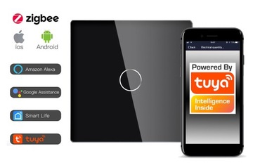 1-контурный сенсорный переключатель ZigBee TUYA RTX SH# L+N