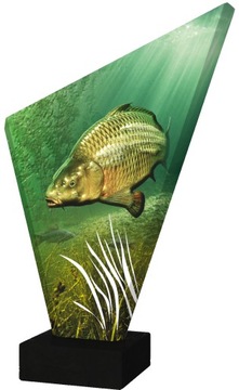 Trofeum szklane - wędkarstwo - Karp solidna statuetka 24 cm + opis
