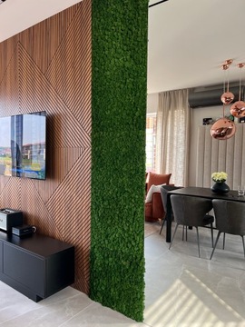 Финский мох 50г Лайм