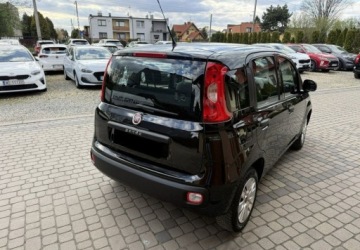 Fiat Panda III Hatchback 5d seria 3 1.2 69KM 2019 Fiat Panda 1,2 69KM Klimatyzacja 1.2 Benzyna 69KM, zdjęcie 6