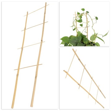 ОПОРА БАМБУКОВАЯ ЛЕСТНИЦА ПЕРГОЛА 60 СМ 5 ШТ.