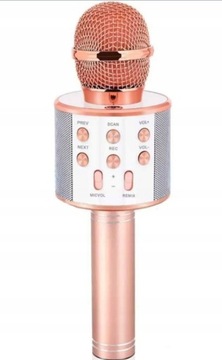 БЕСПРОВОДНОЙ КАРАОКЕ-МИКРОФОН, ДИНАМИК BLUETOOTH