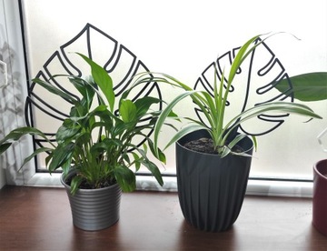 2x РАСТЕНИЯ ЦВЕТОЧНОЕ УКРАШЕНИЕ ПЕРГОЛА МОНСТЕРА