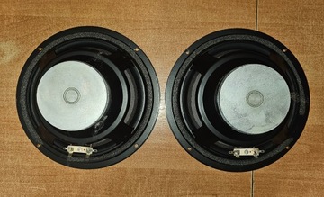 Głośniki niskotonowe VIFA C20WN-05 | 20 cm |