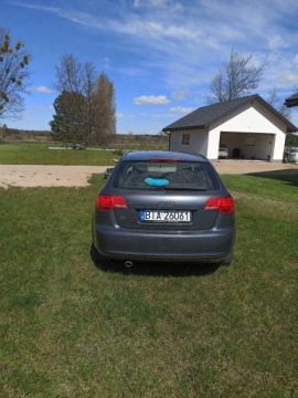 Audi A3 8P Hatchback 3d 1.6 102KM 2006 Audi a3 8p 1.6 benzyna, zdjęcie 3
