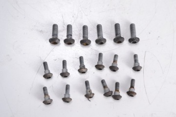 Śruby tarczy hamulcowej YAMAHA TDM 900 02-12