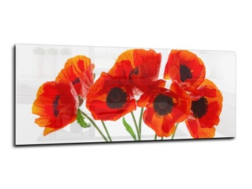 płytka ścienna hartowana kuchnia 125x50 maki