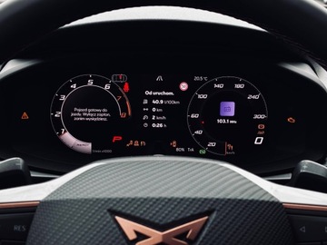 Cupra Terramar SUV 1.5 eTSI 150KM 2025 Cupra Terramar 1.5 eTSI mHEV 150 KM DSG, zdjęcie 15