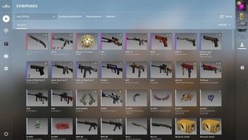 KONTO CS2,PRIME SZYBKA WYSYŁKA!