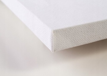 картина на холсте Оранжевый Тестовирон 40х50