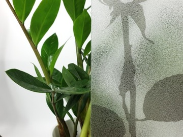 Статическая приклеенная оконная пленка для защиты конфиденциальности в Windows SPRING