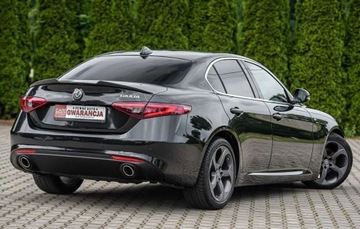Alfa Romeo Giulia II Sedan 2.2 JTD 180KM 2016 Alfa Romeo Giulia 2.2D 180Ps Ledy Skora Bixenon Navi 1 wlasciciel BEZWYPAD, zdjęcie 14