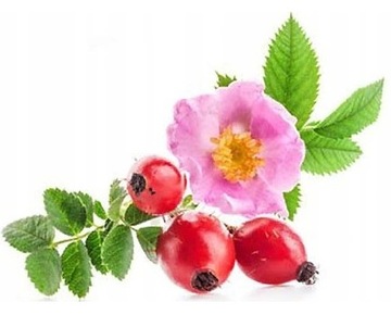 Polska Róża Органическая розовая вода 100 мл