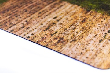 Playmats Коврик резиновый для игры Песнь Льда и Пламени 148,5х122 см Field of War