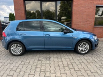 Volkswagen Golf VII Hatchback 3d 1.4 TSI BlueMotion Technology 150KM 2015 Volkswagen Golf 1.4 benzyna 150 KM 6 biegow zarejestrowany w PL zamiana, zdjęcie 25