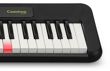 CASIO LK-S250 Светящиеся клавиши + подставка + ремень