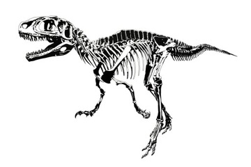 Naklejki na ścianę ścienne Dinozaury T-Rex