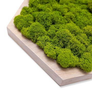 НАСТЕННЫЕ ПАНЕЛИ СВЕТЛЫЙ МОХ ШЕСТИГРАННИК МИНИ