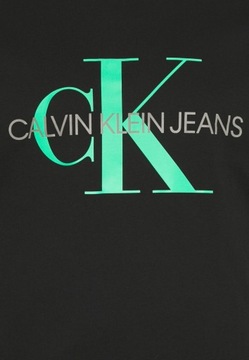 CALVIN KLEIN JEANS T-SHIRT MĘSKI PLUS 3XL 1BCD