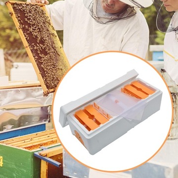 Foam Bee ule krycia mini ule narzędzia pszczelarskie