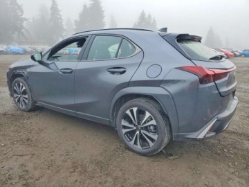 Lexus UX 2025 Lexus UX 300h Base 2025 2.0 Hybryda 181KM, zdjęcie 1