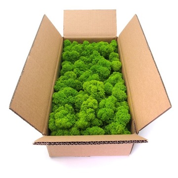 Mech chrobotek fiński 500g