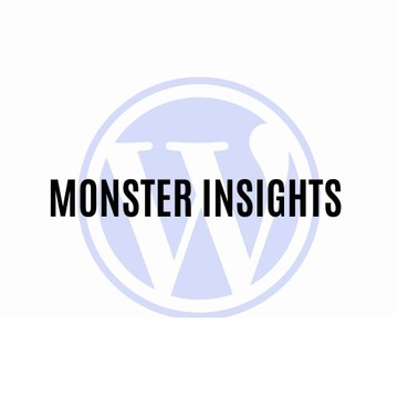 Wtyczka MonsterInsights eCommerce Addon