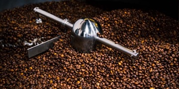 Набор свежего кофе от Nuno CRAFT ROASTERS 3x 200г