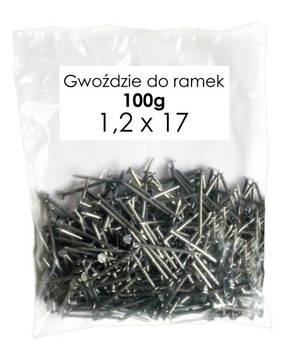 GWOŹDZIE do RAMEK pszczelarskich 1,2x17 - 100g