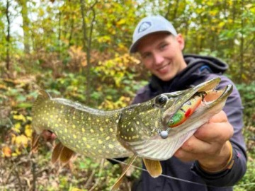 Приманка MIKADO SICARIO PIKE TAIL 8,5 СМ RED TIGER TWISTER ДЛЯ СУДАКА