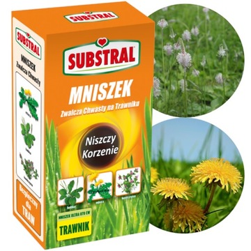 SUBSTRAL MNISZEK środek na chwasty w trawie trawniku NISZCZY KORZENIE 250ml