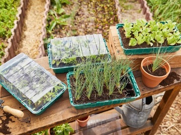 Мини-теплица 36 см х 22 см пластик Mini Greenhouse 4 шт.