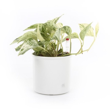 Набор HYDROPONIKA цветочный горшок 13/12, индикаторная вставка