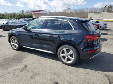 Audi Q5 II 2020 Audi Q5 2020r., Premium Plus, od ubezpieczalni 2.0 Benzyna 248KM, zdjęcie 2
