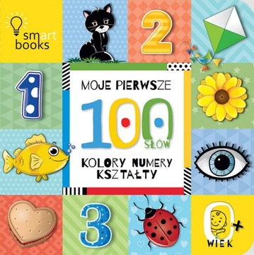 Moje pierwsze 100 słów KOLORY NUMERY KSZTAŁTY