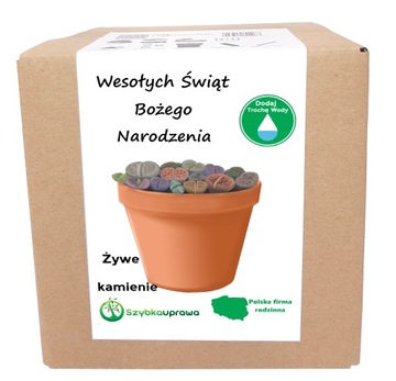 KPL ŻYWE KAMIENIE WESOŁYCH ŚWIĄT BOŻEGO NARODZENIA