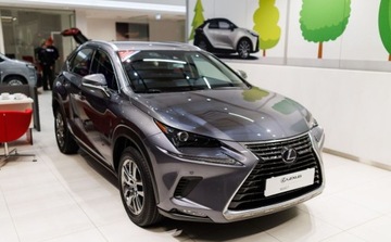 Lexus NX I SUV Facelifting 300h 197KM 2019 Lexus NX 300h Optimum AWD 2.5 Hybryda 197KM, zdjęcie 2