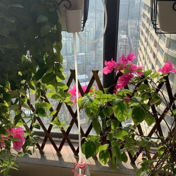 АВТОМАТИЧЕСКАЯ СИСТЕМА ПОЛИВАНИЯ В ГОРШКАХ