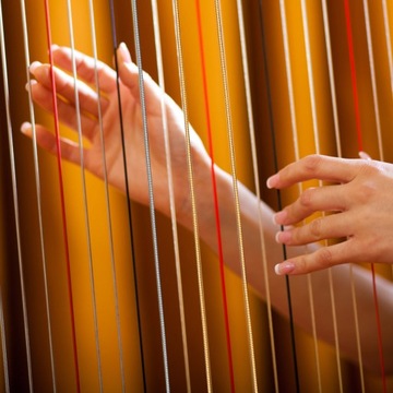 AKCESORIA DO LIR STRIN DO HARPY WYMIANA INSTRUMENTU