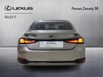 Lexus ES VII (XV70) Sedan Facelifting 300h 218KM 2023 Lexus ES 300h F Sport Design Lexus ES 300h F Sport, zdjęcie 6