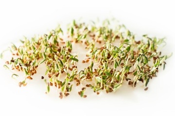 ПРУЖИННАЯ МАШИНА, 3 УРОВНЯ, РАЗРЕШЕНА ДЛЯ ПОДОКОННИКОВ