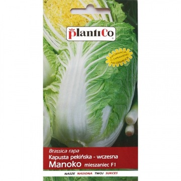 Kapusta pekińska MANOKO - mieszaniec 0,15g