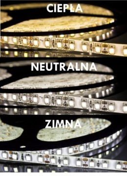 Светодиодная лента 2835 600 120LED IP65 5м цветов