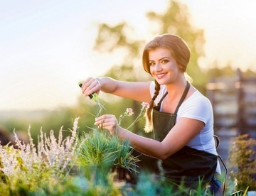 Ножницы для обрезки Herbgarden Ножницы/секаторы