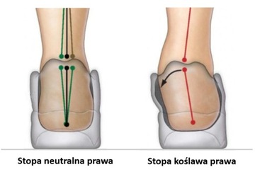 Поддержка обуви Инвазии Органические цены