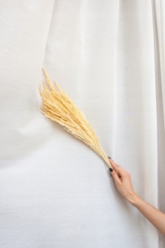 ТРАВА ЛЕСНАЯ СУШЕННАЯ, БЕЛЕННАЯ, сушеные декоративные травы